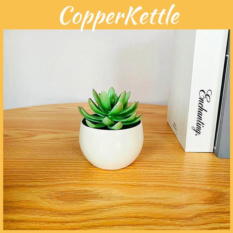 Imitation Succulent Plant Container With Durable Pvc For Home Interior Decoration