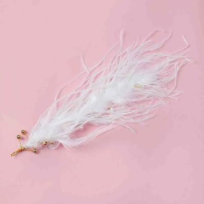 Chamol Feather Hairpin Feather Headpiece Feather Hair Ornament Hair Feather Headpiece