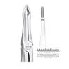 GDC Extraction Forceps Upper Roots - 41 Standard (FX41S)