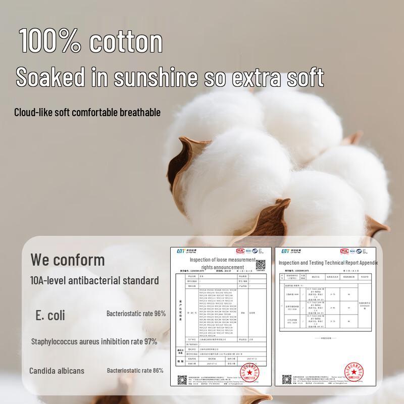 Yiershuang Women's 10A Antibacterial High Waist Cotton Briefs