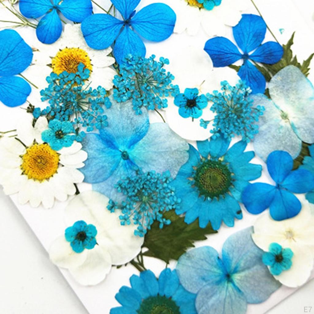 Mixed Dried Pressed Flowers for Wedding Invitations, Envelopes, Bookmarks, Table Decorations,