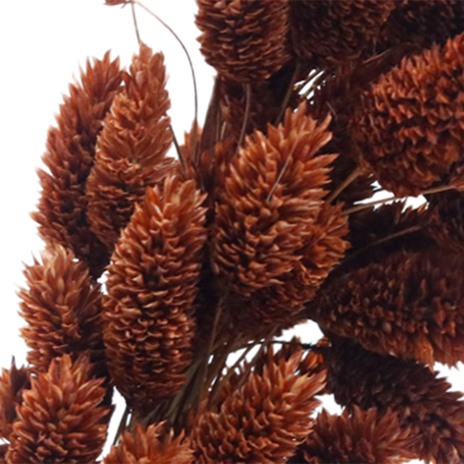 Букет из сушеных цветов — фото 8