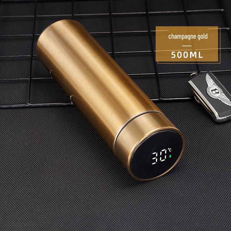 Smart LED Temperature Display Insulated Bottle