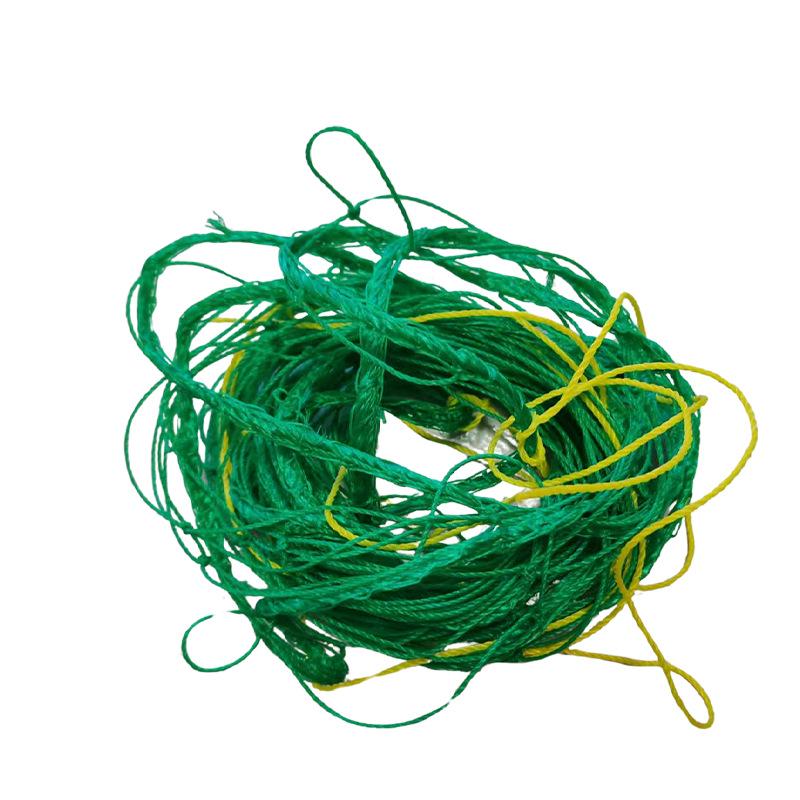 Plant Climbing Net for Cucumber and Tomato Vines In Greenhouses