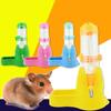 Small Animals Water Feeding Bottles Hamster Water Bottle Rabbit Water Bottle Hamster Food Container