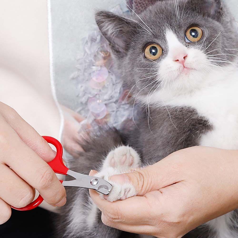 

Cat Dog Puppy Kitten Dog Grooming Cat Nail Trimmer Cat Nail Grinder Cat Scissor Pet Nail Clipper чорний