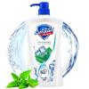 Safeguard Mint Scent Cool & Soothing Shower Gel