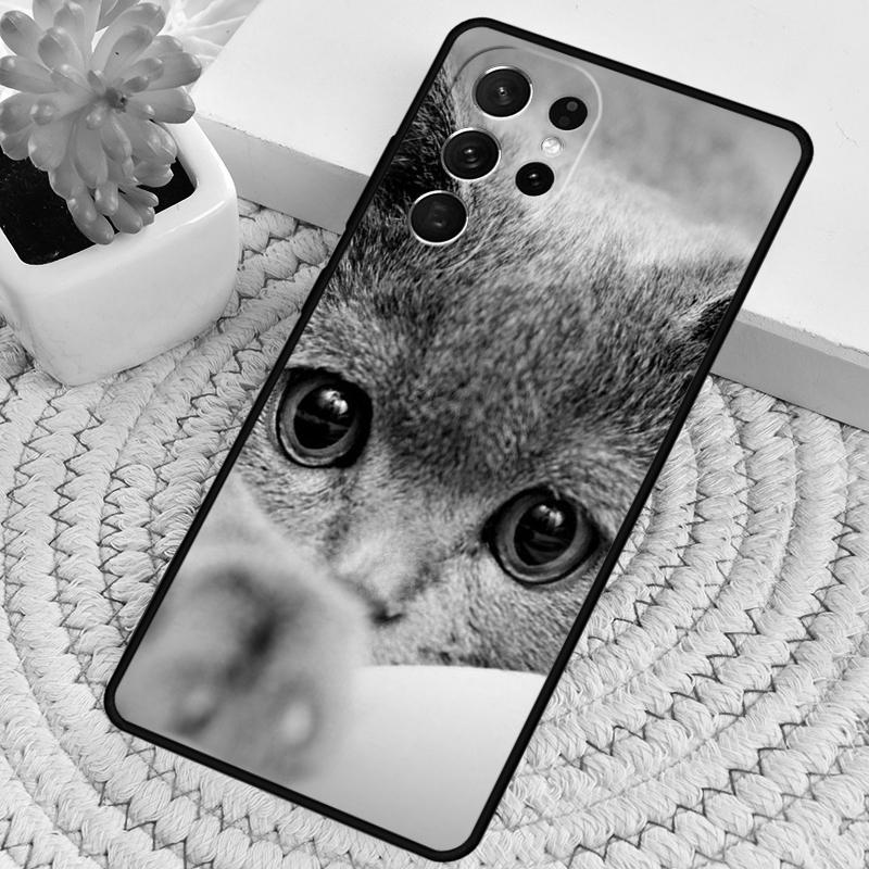 Grey British Shorthair Cat Silicone Phone Case For Samsung Galaxy note 10 pro S26 S25 S24 S23 S22 S21 Plus S25Ultra Capa Cover