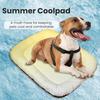 Pet Cooling Mat Summer Ice Silk Cooling Pad for Cats Dogs Heat Dissipation Anti Slip Sleeping Mat for Crate Sofa Balcony