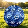 Brighton & Hove Albion FootballPrinted Size 5 Soccer Blbion Football, Anti Slip Adult Match Football Souvenir for Football Fans