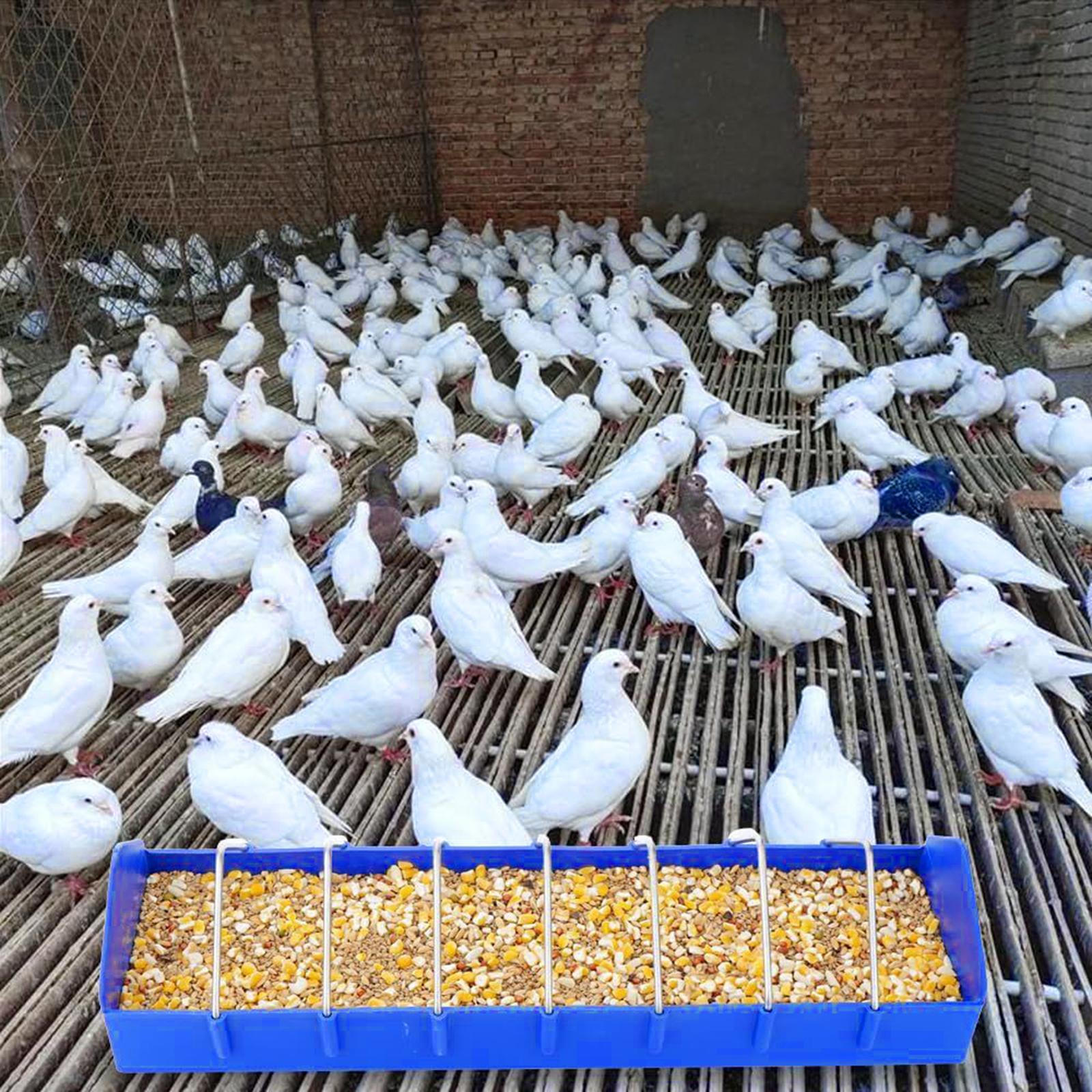 

Кормушка для голубей, цыплят, корма, прочная поилка, контейнер для еды на открытом воздухе 40CM