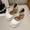 Fashion Retro square toe Mary Jane shoes embroidered thick heels thick waterproof platform buckle strap high heels single shoes