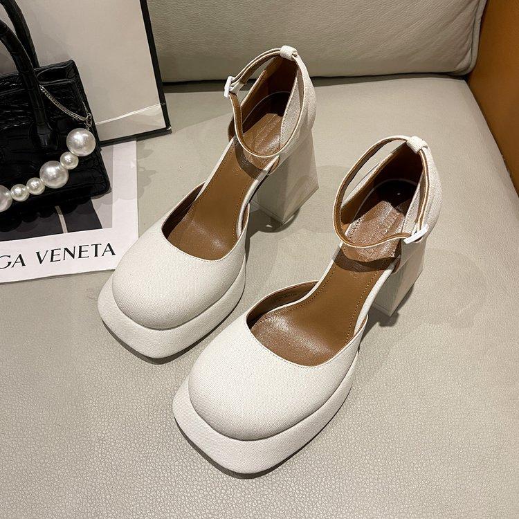 Fashion Retro square toe Mary Jane shoes embroidered thick heels thick waterproof platform buckle strap high heels single shoes