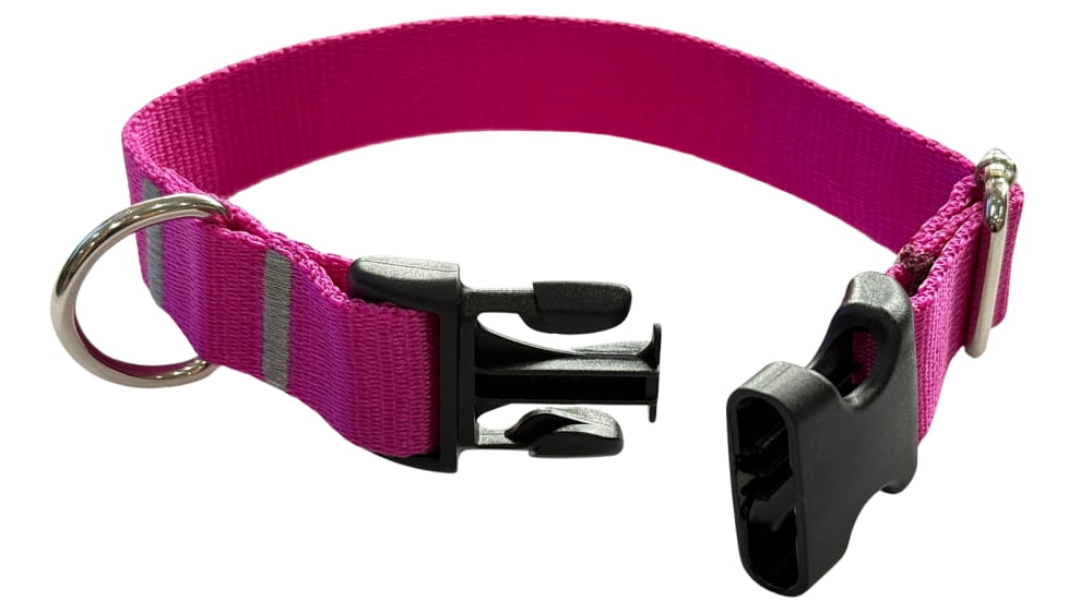 Dog Collar 2 cm with buckle Adjustable Fuchsia Fasten Dog Collar 2 cm with buckle Adjustable Fuchsia Fasten L: 40-55cm