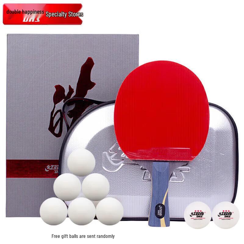 DHS Hurricane Wang Hao Table Tennis Racket