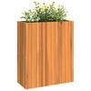 Plant Pot 59x27.5x70 cm Solid Acacia Wood