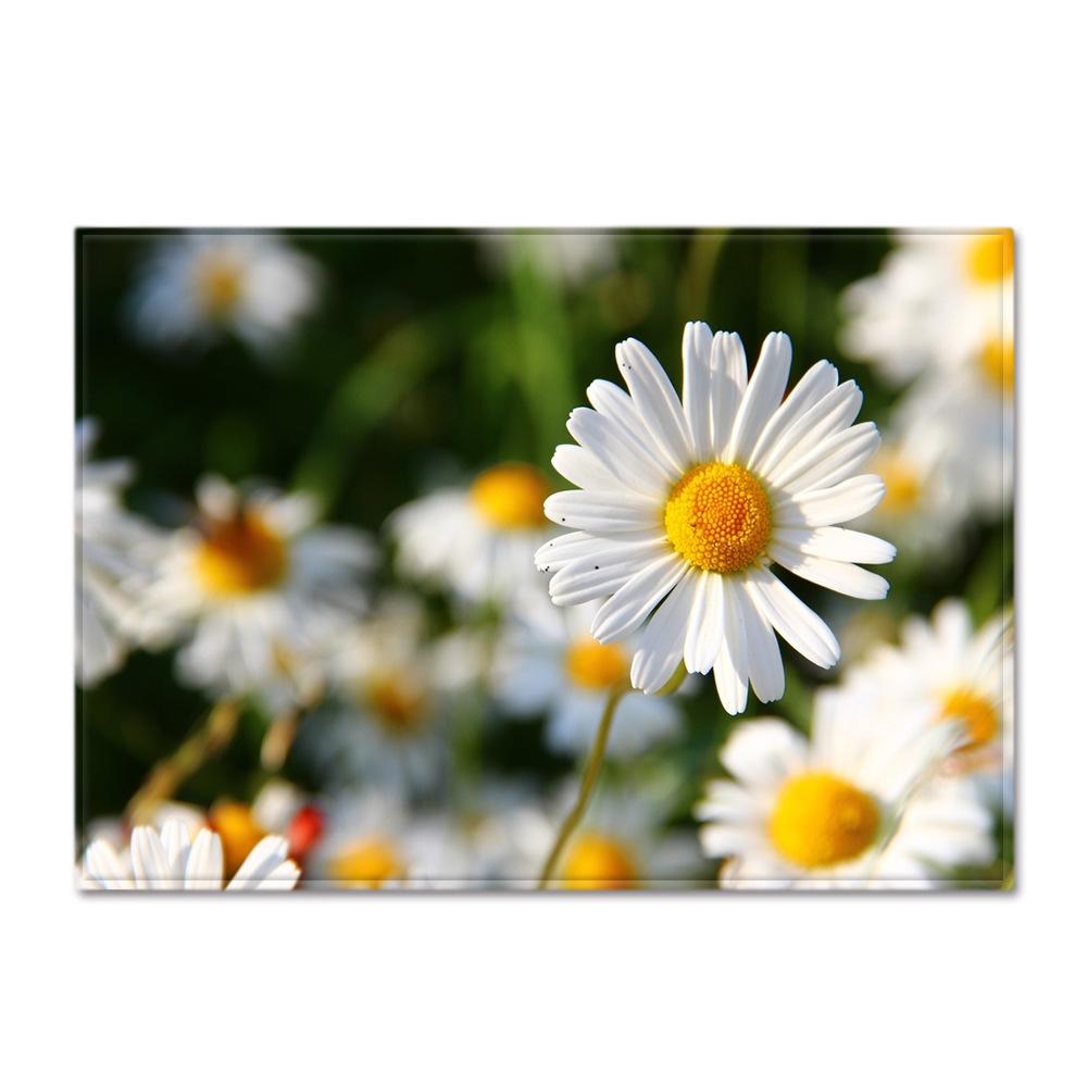 Abstract Daisy Art Large Carpet Living Room Floor Mat Colorful Pattern