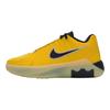 LeBron Witness 9