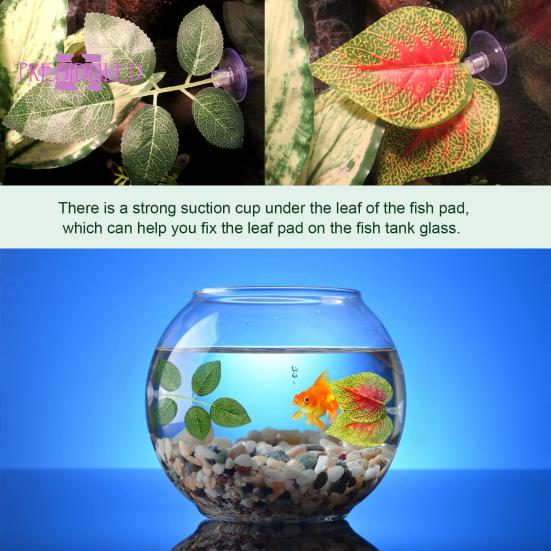 betta fish accessories