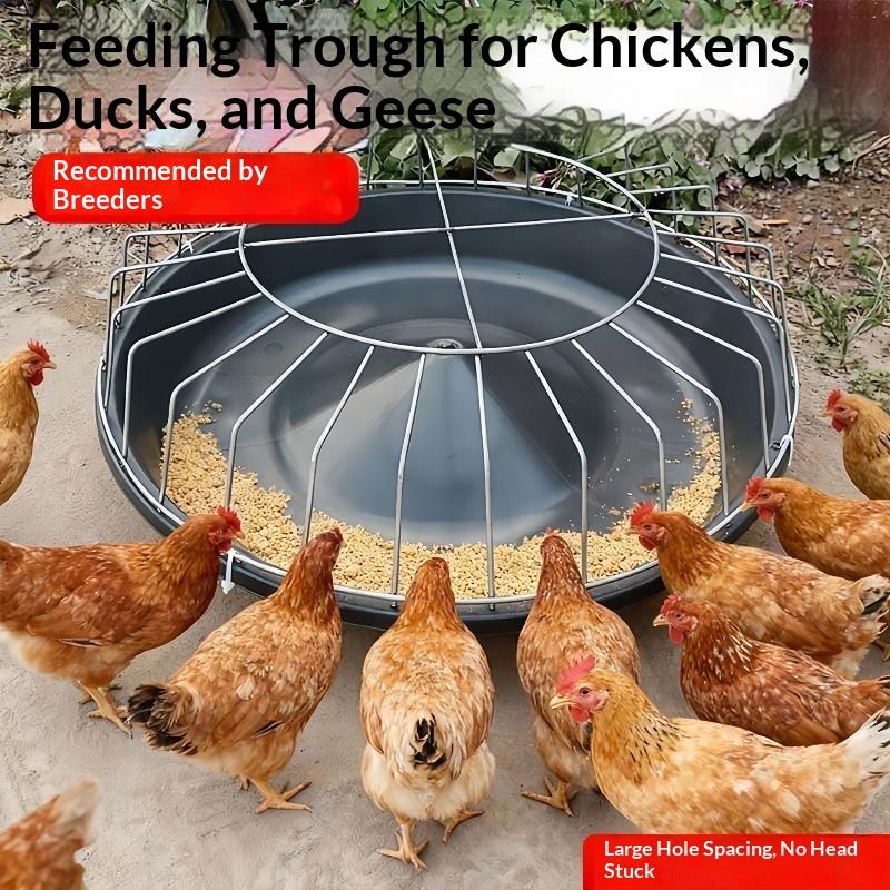 Roof Design Large Circular Chicken Feeder 12/14/16 Holes Rain Resistant for Farm Backyard Poultry Coop