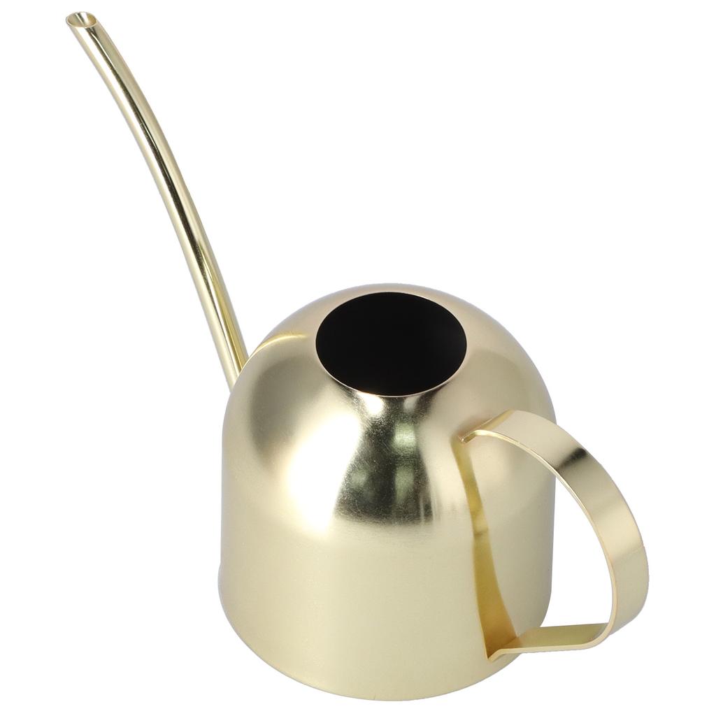 1000ML Vattenkanna Inomhus Vintage Rostfritt Stål Suckulenter Blommor Växter Vattningskittel Kruka Guld