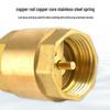 Xingqishi Brass Vertical Spring Check Valve