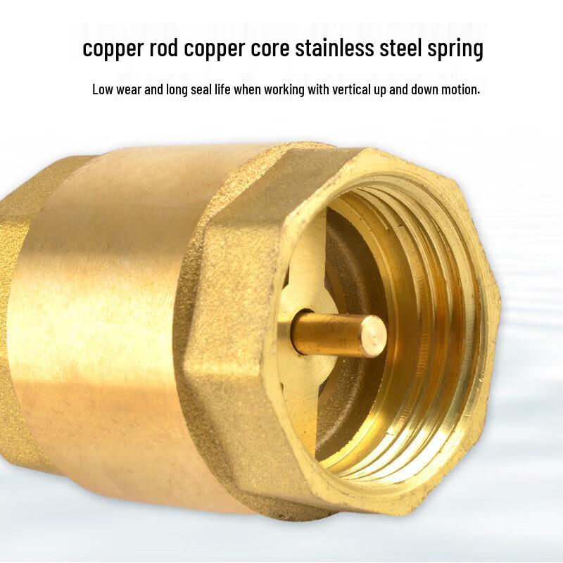 Xingqishi Brass Vertical Spring Check Valve