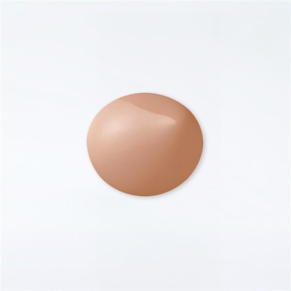Naris Cell Grace Cream Foundation 24g [Beige 550]
