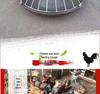 Automatic Free-Range Poultry Feeder: Chicken, Duck, Goose Trough Basin