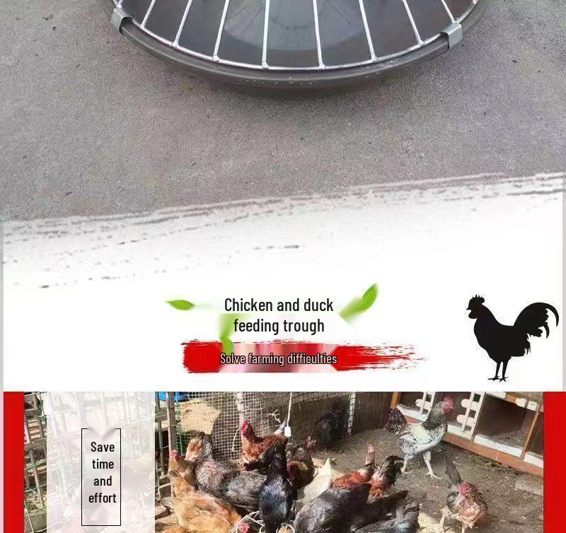 Automatic Free-Range Poultry Feeder: Chicken, Duck, Goose Trough Basin