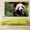 Drucken Wand Pop Art Tier Bambus Panda Bär Landschaft Ölgemälde auf Leinwand Poster Moderne Wand Bild Für Wohnzimmer cuadros