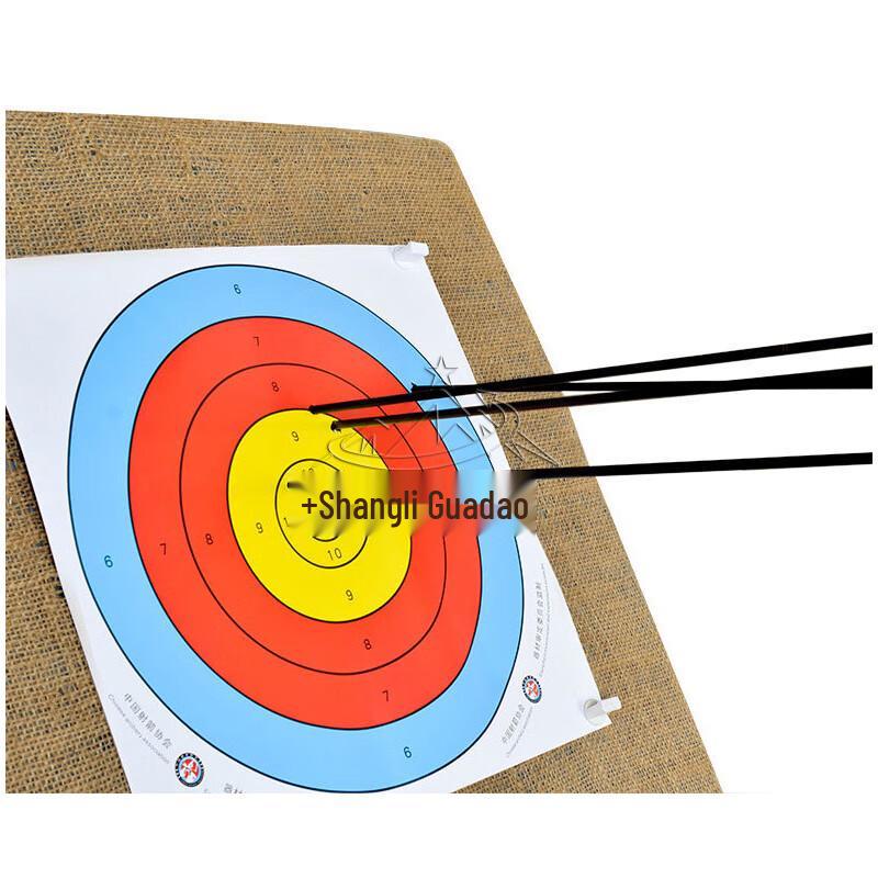 Archery Training Target and Stand