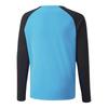 Puma Boys TeamPACER Long-Sleeved Goalkeeper Jersey