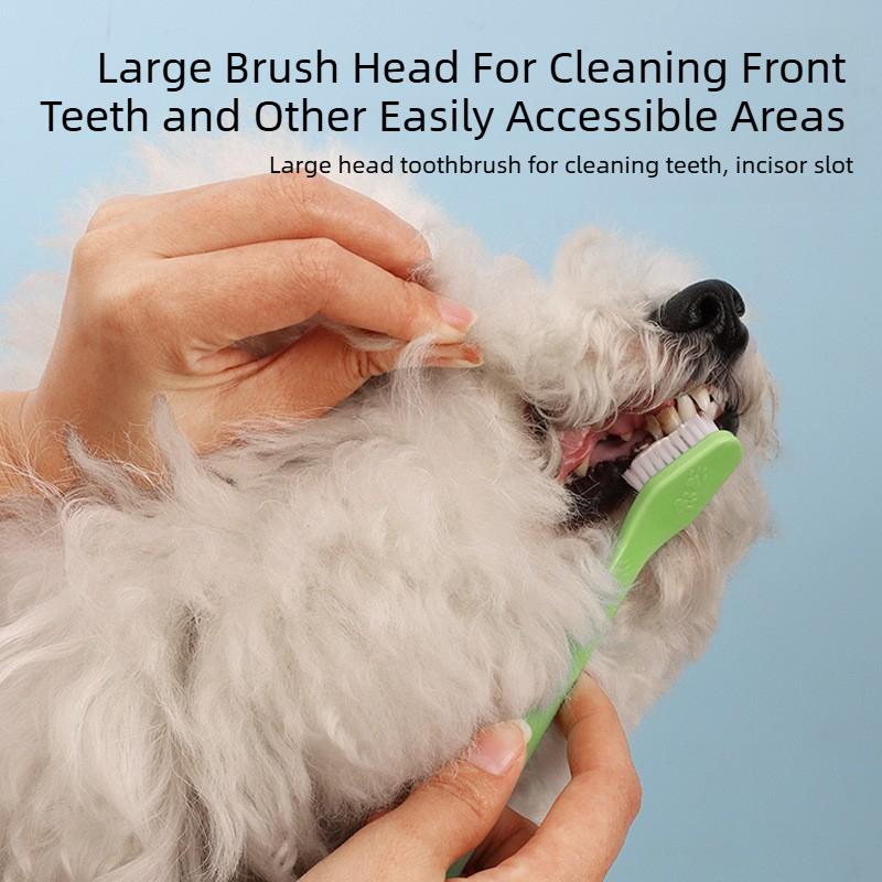 1/5pcs 22cm Handle Tooth Brush For Pet Dog Cat Plastic Healthy Toothbrush Mouth Cleaning Pet Cat Dog Accessrioes Finger Brushes