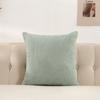 Plush Velvet Pillow Cover Premium Teddy Fleece Sofa Cushion Case Office Nap Pillow Seat Back Support Home Decor Throw Pillowcase
