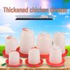 Automatic Chicken Water Feeder for Poultry Farming