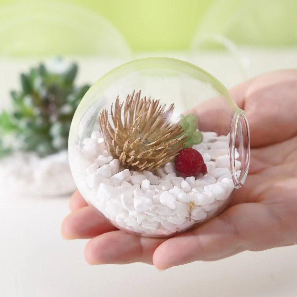 Terrarium Container Blume Flasche Sukkulente Hydrokultur Pflanze Vase