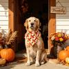Thanksgiving Dog Bandana Medium Size Adjustable Pet Scarf with Pumpkin Pattern for Holiday Seasonal Wear and Comfortable Fit