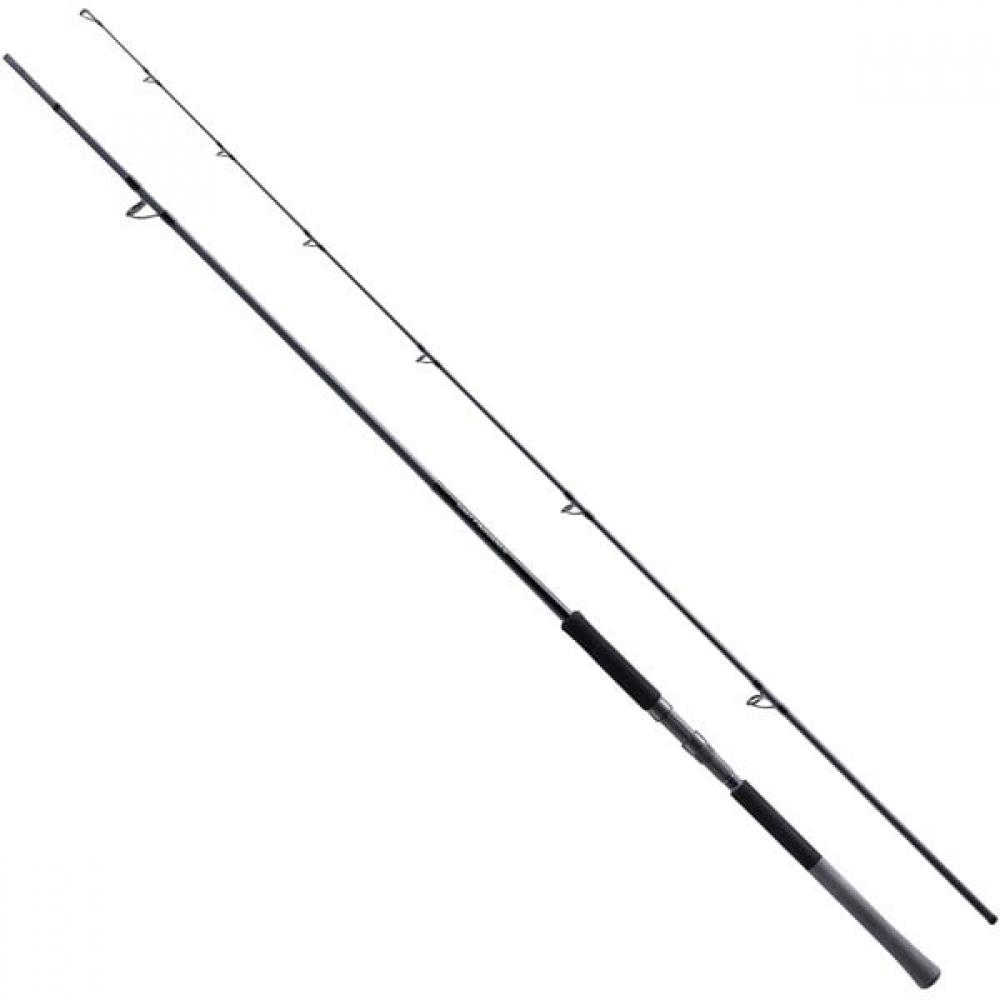 Shimano 25 Salty Advance Shore Jigging S100m Shore Salt Rod 274731