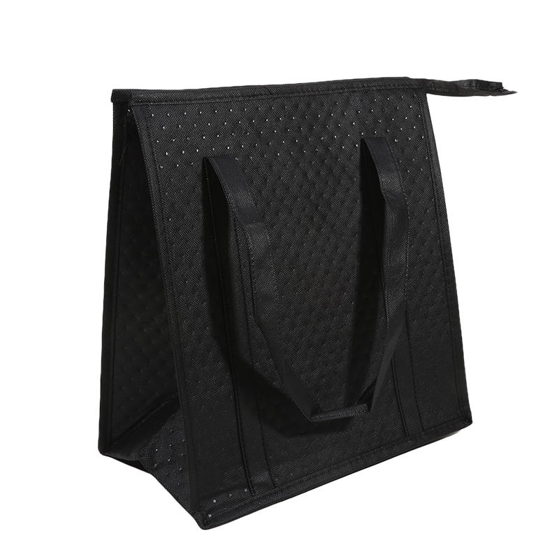 Portable Thermal Insulated Cooler Bag Leak-Proof Cold Storage Padded Carrier with Zipper for Picnic Travel