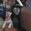 Hundebarriere für Rücksitz im Auto Einfach zu installieren Haustier-Barriere Netzgitter mit Haken Sicherheits-Trennwand mit Aufbewahrungstasche für Auto SUV LKW