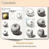 Sketching Still Life: Beginner's Anatomy & Perspective Training
