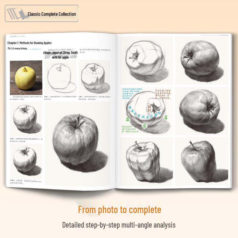 Sketching Still Life: Beginner's Anatomy & Perspective Training