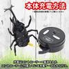 [Just like the real thing Realistic movements] Radio-controlled insect stag beetle set, 2 assorted species, rechargeable. [GiftEasy to useCompact]