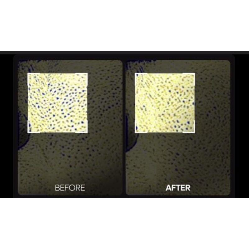 Dr.Melaxin Facephalt Tightening Cream