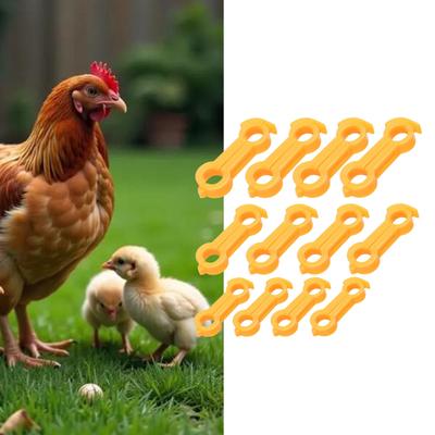 12Pcs Plastic Bird Leg Correctors For Poultry Support And Posture Alignment
