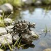 Brass-Toned Alloy Mini Snapping Turtle Figurine Lifelike Details Vintage Finish For Aquarium Desktop Garden Decor