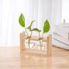 Wood & Glass Hydroponic Bottle - Simple Modern Home Decor