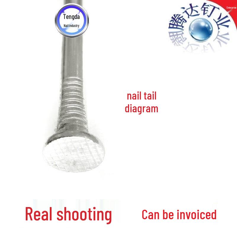 Jiemengzhe 304 Stainless Steel Common Nails