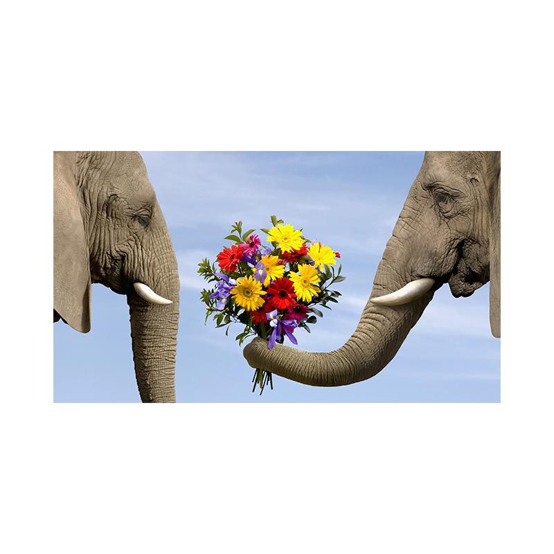 

Слон Фото Современное настенное искусство Печать на холсте Плакат Животное Леа Цветок Гора Природа Картина для гостиной Домашний декор Cuadros 40x50cm No Framed